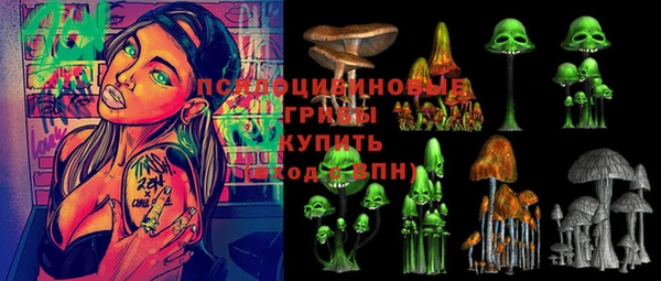 гашик Нефтегорск