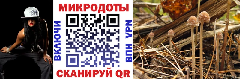 Галлюциногенные грибы мицелий  mega зеркало  Югорск 